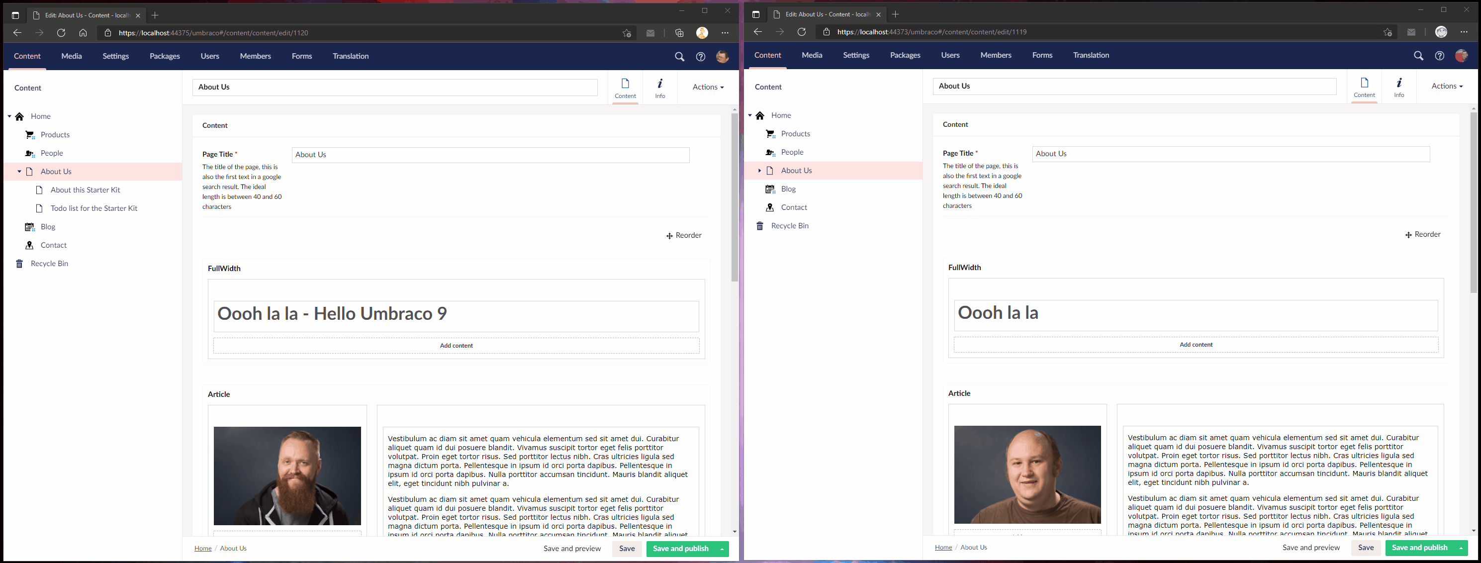 Publish from Umbraco 8 to 9 (or the other way around!)